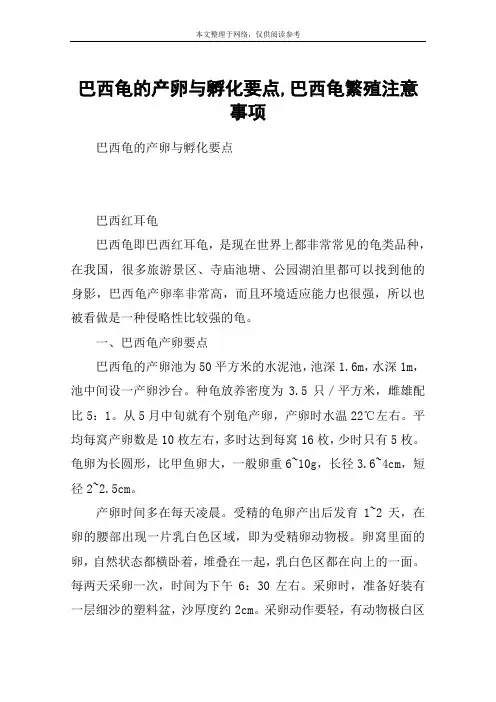 巴西龟的产卵与孵化要点,巴西龟繁殖注意事项