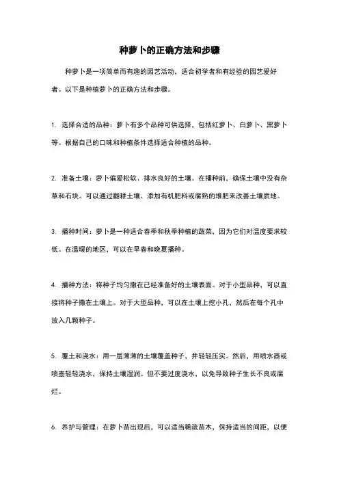 种萝卜的正确方法和步骤