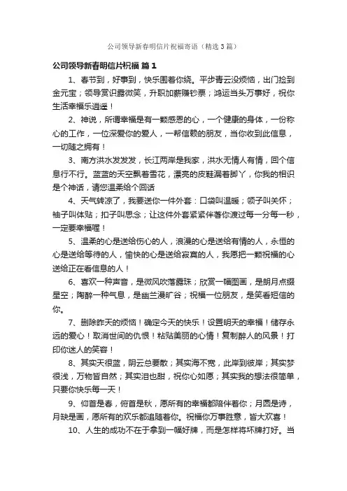 公司领导新春明信片祝福寄语（精选3篇）