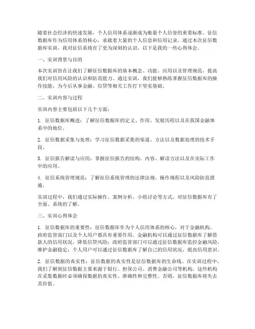 征信数据库实训报告心得