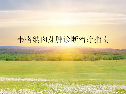 韦格纳肉芽肿诊断治疗指南