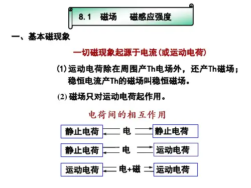 恒定磁场教案