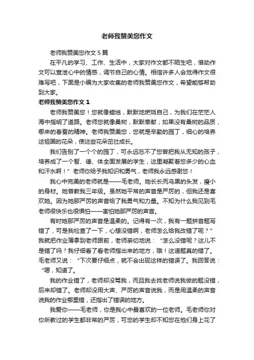 老师我赞美您作文5篇