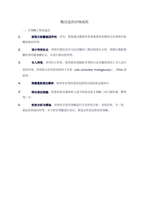 酶改造的详细流程