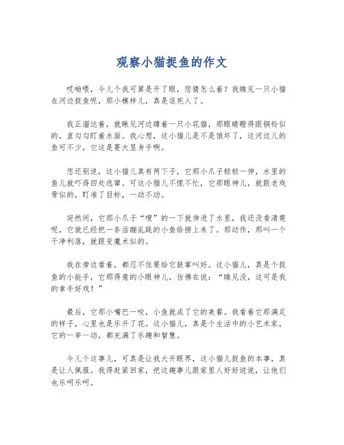 观察小猫捉鱼的作文