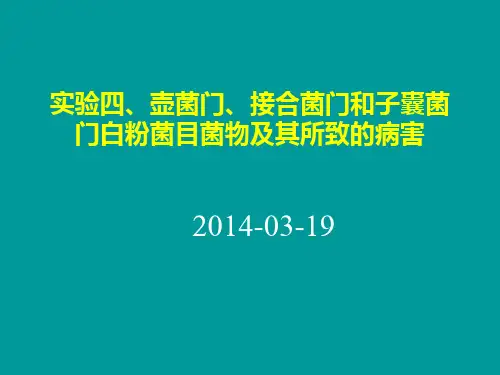 植物病理学 实验四 壶菌门、接合菌门和子囊菌门菌物 图文