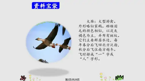 部编人教版小学语文三年级上册听听秋的声音8.pptx