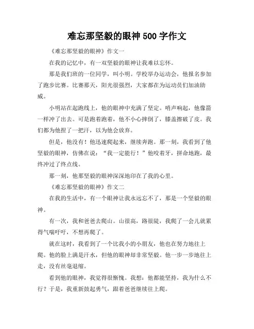难忘那坚毅的眼神500字作文