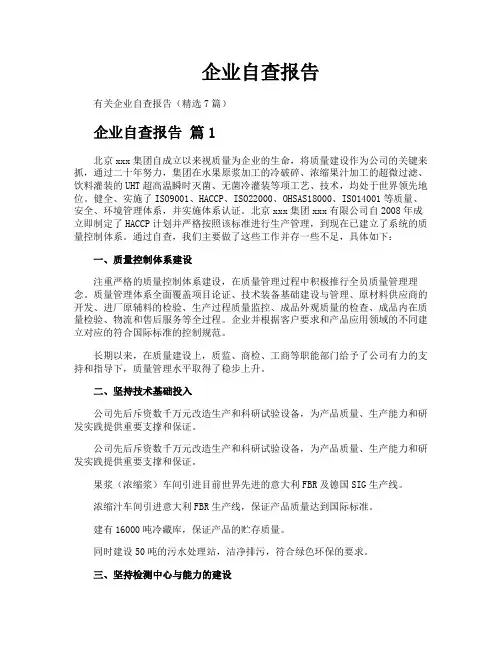 企业自查报告