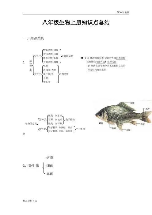 2020年八年级生物上册知识点总结(收藏版)