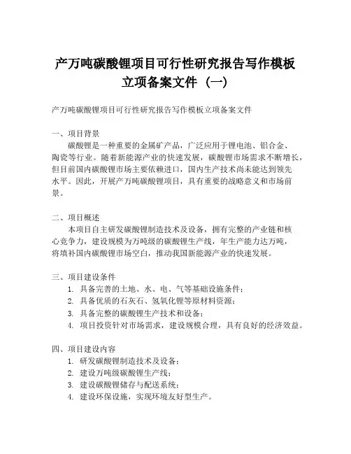 产万吨碳酸锂项目可行性研究报告写作模板立项备案文件 (一)