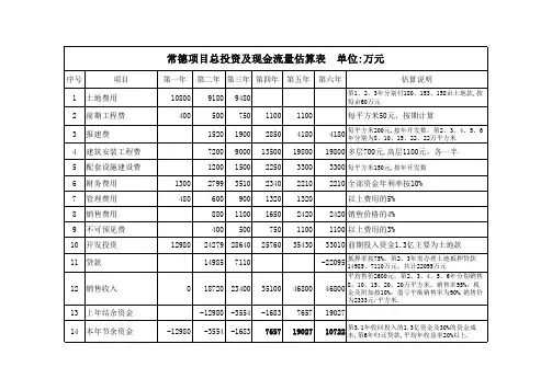 项目总投资及现金流量估算表