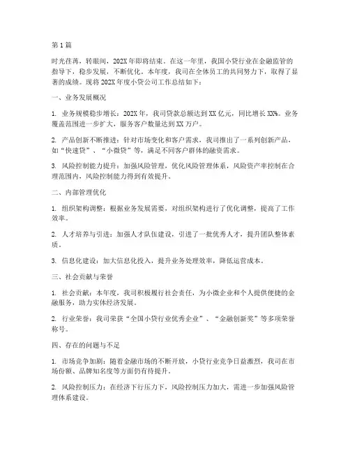 小贷公司年终总结范文(3篇)