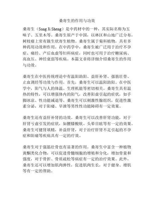 桑寄生的作用与功效