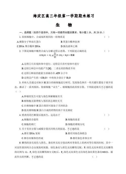 2019-2020年北京市海淀区高三上学期期末考试生物试题(有答案)