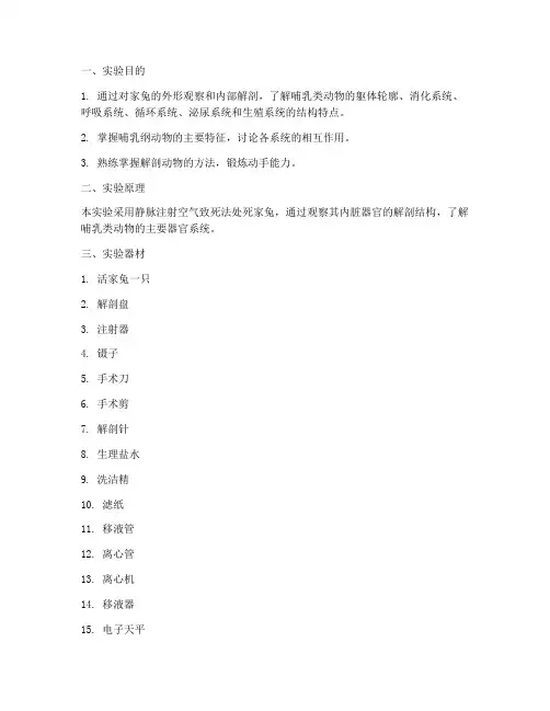 医学解剖家兔实验报告