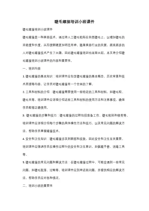 睫毛嫁接培训小班课件