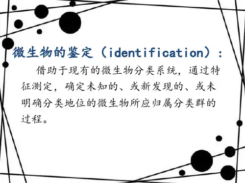 微生物的鉴定ppt课件
