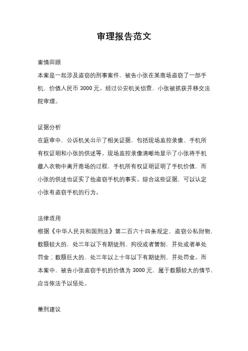 审理报告范文