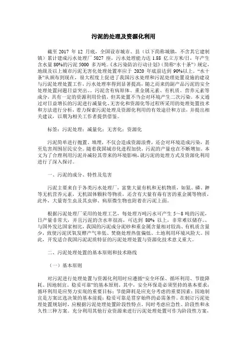 污泥的处理及资源化利用
