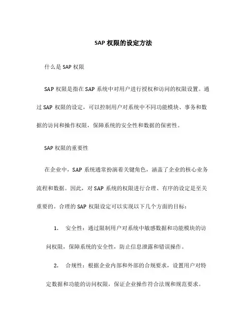sap权限的设定方法
