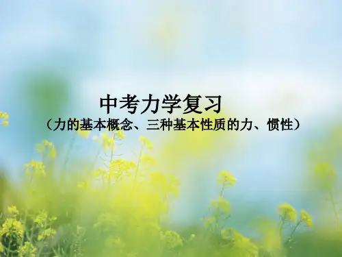 力的基本概念PPT教学课件