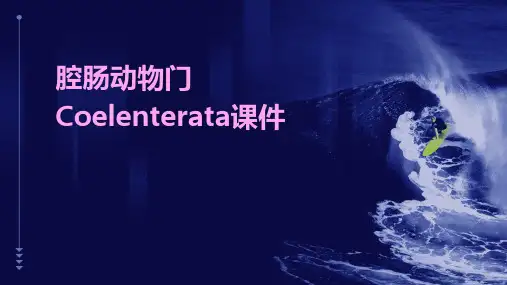 腔肠动物门Coelenterala腔肠动物是真正后生动物开课件