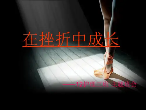 在挫折中成长PPT课件