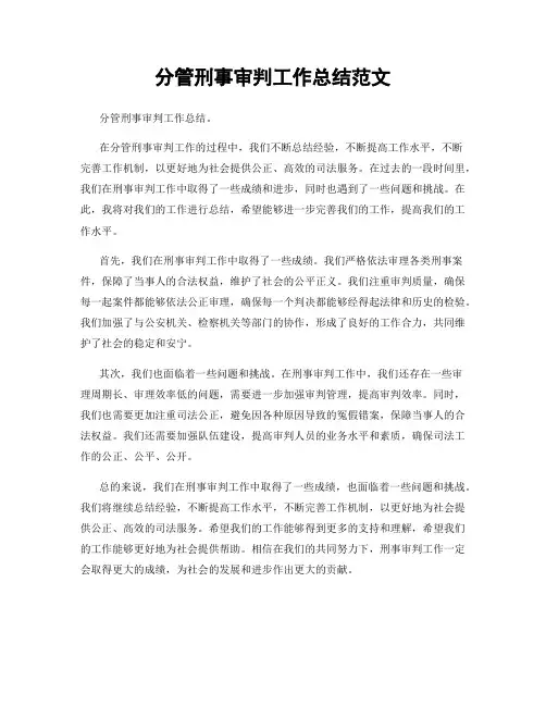 分管刑事审判工作总结范文