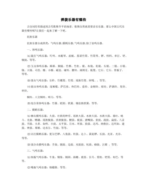弹拨乐器有哪些