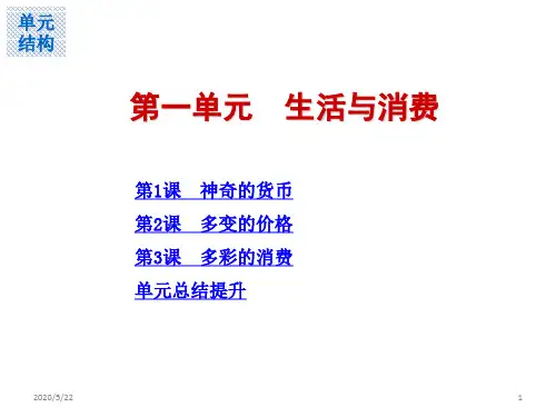 一神奇的货币PPT课件