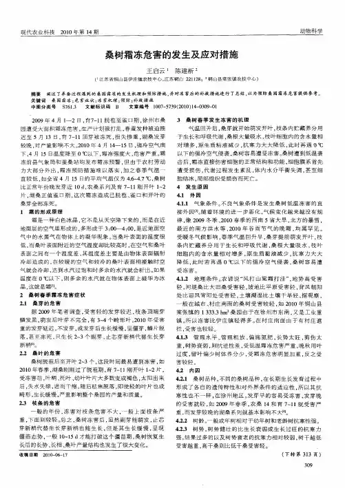 桑树霜冻危害的发生及应对措施