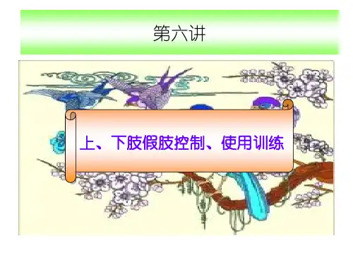 6第六讲上、下肢假肢控制、使用训练-PPT课件