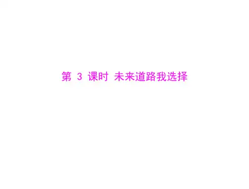 思想品德：第十课-第3课时-未来道路我选择--配套课件(人教版九年级)