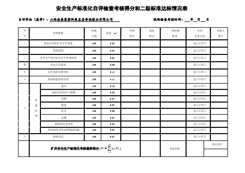 安全生产标准化自评检查考核得分和二级标准达标情况2020