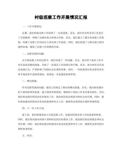 村级巡察工作开展情况汇报
