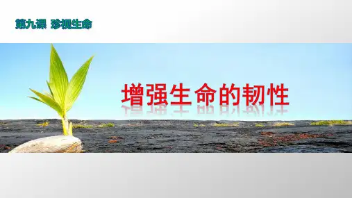 人教版道德与法治七年级上册9.2增强生命的韧性(共20张PPT)