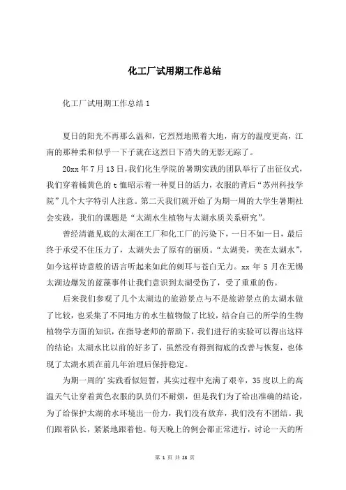 化工厂试用期工作总结