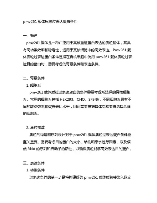 pmv261载体质粒过表达蛋白条件