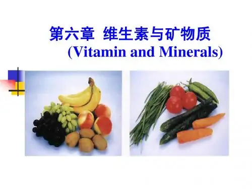 第六章 维生素与矿物质
