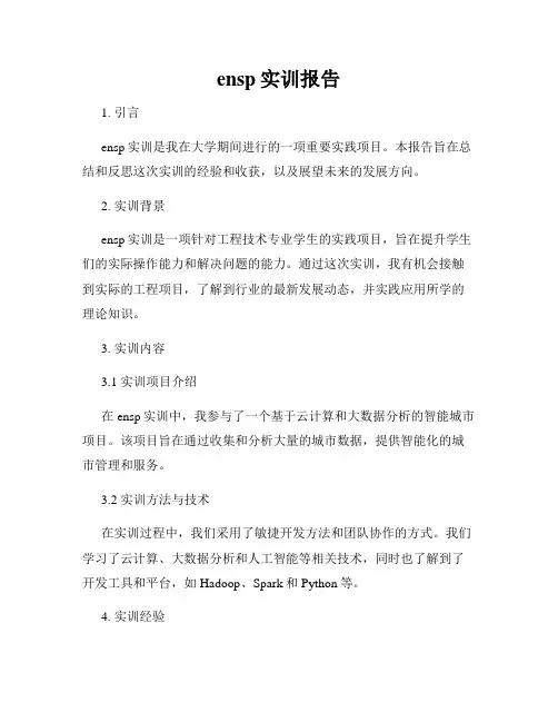ensp实训报告
