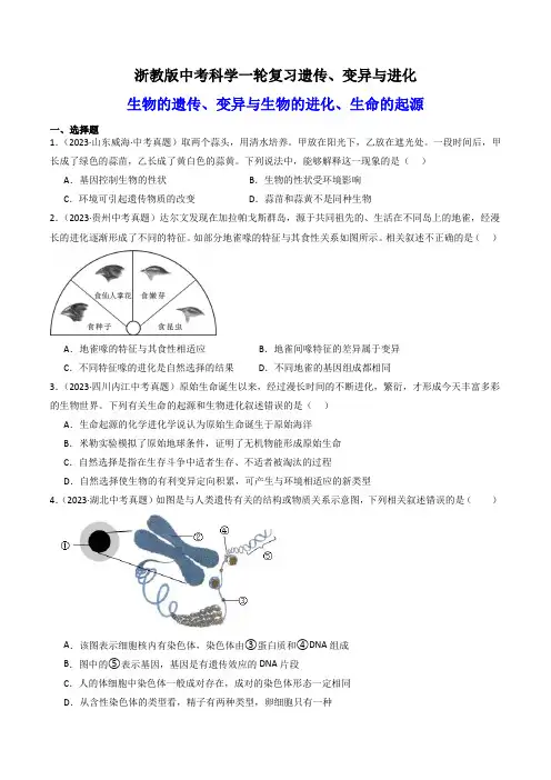 13.遗传变异与进化(练习)(原卷版)
