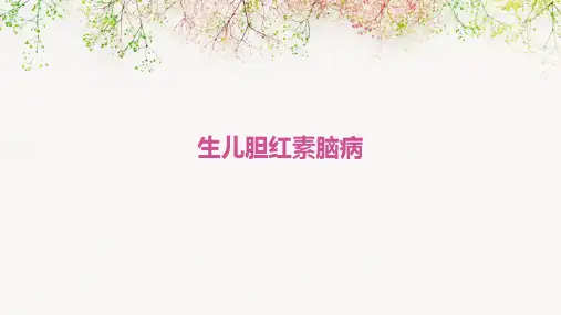 《生儿胆红素脑病》课件