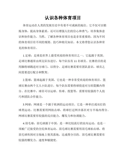 认识各种体育项目