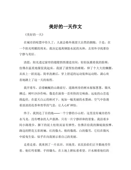 美好的一天作文