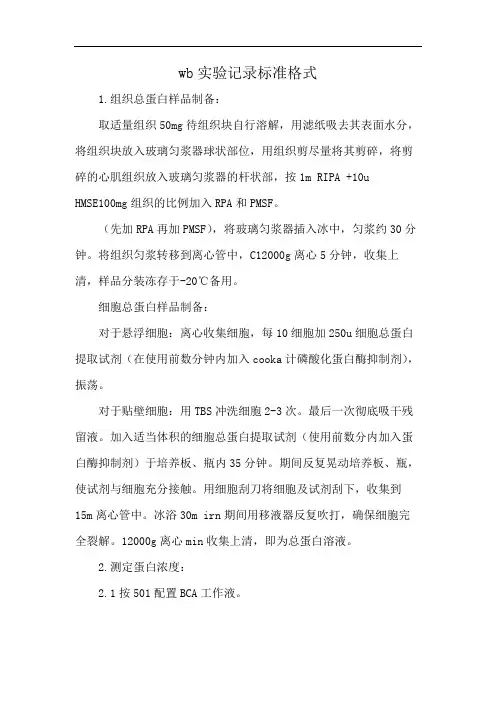 wb实验记录标准格式