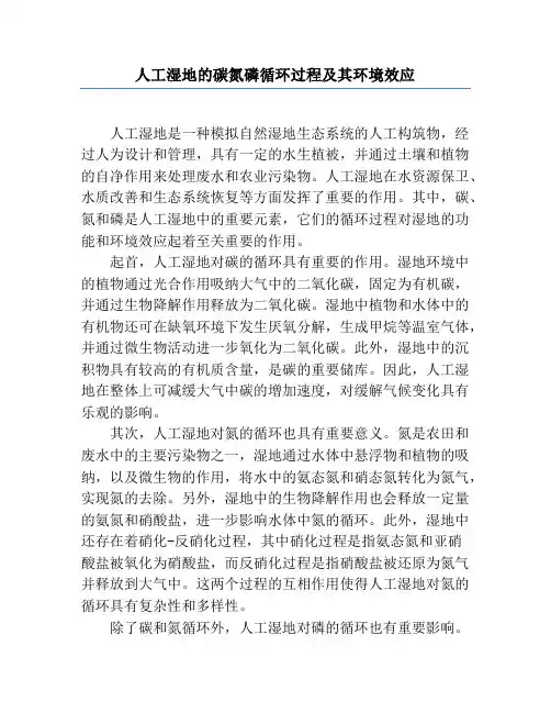 人工湿地的碳氮磷循环过程及其环境效应