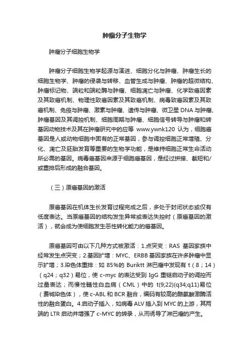 肿瘤分子生物学