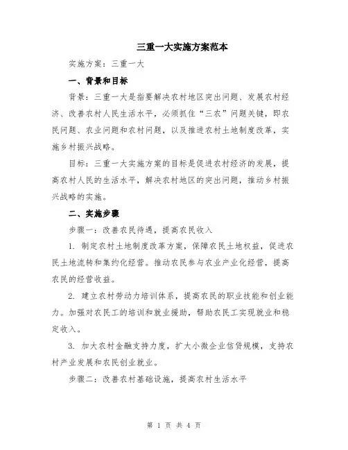 三重一大实施方案范本