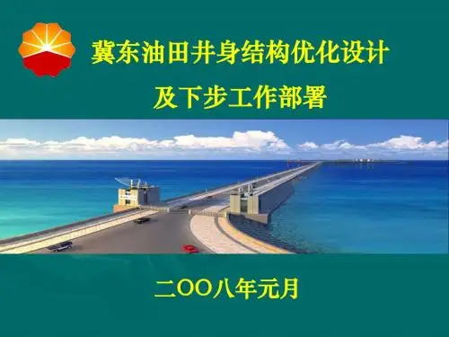 4--冀东油田--井身结构优化设计及下步工作目标20080107